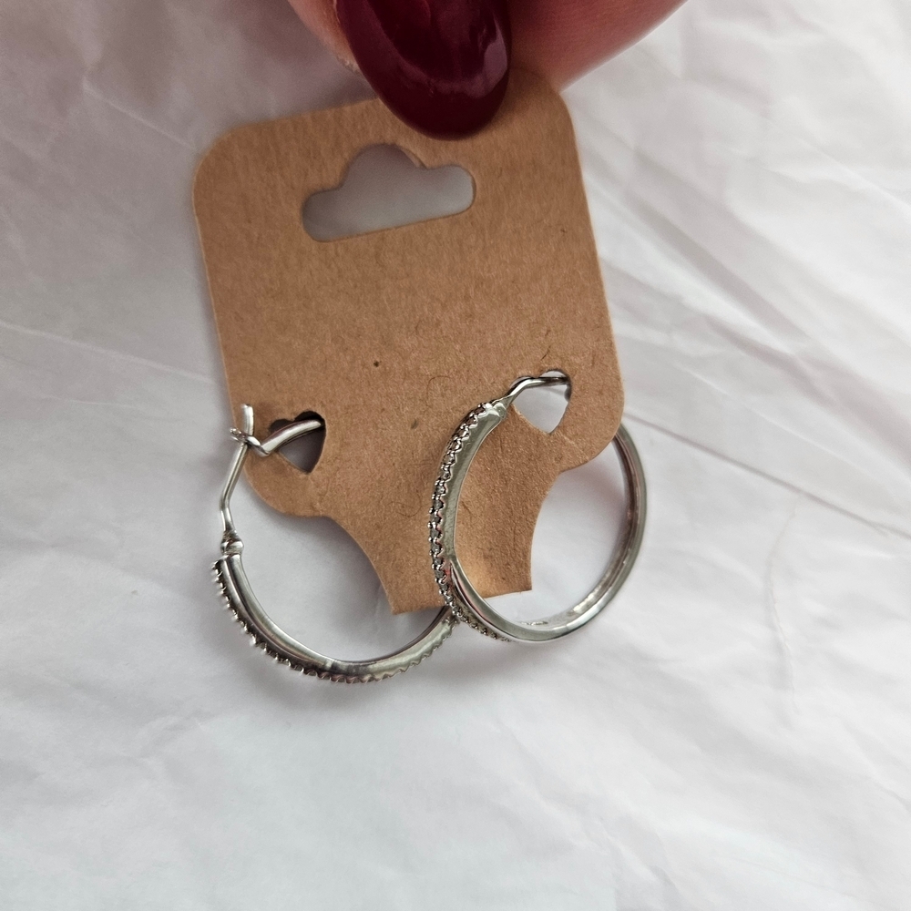 Elegant Silver Hoop Earrings